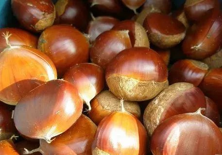 假期返程特产,春节返程带的家乡特产