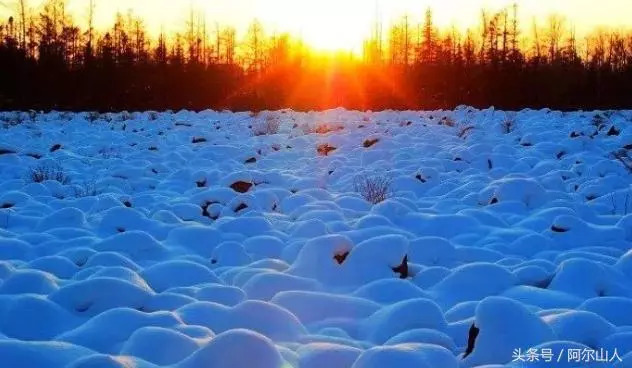 雪藏原版是谁,大兴安岭传奇