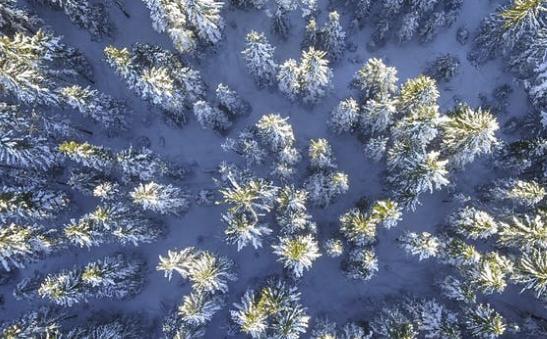 某幻君冒火是什么梗,某幻君的梗是什么