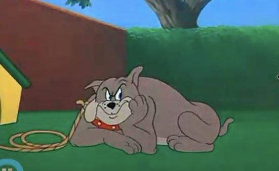 猜谜｜据说能通关的铲屎官堪称“万狗通”，最后一题出题者也不知道答案！等你来科普！