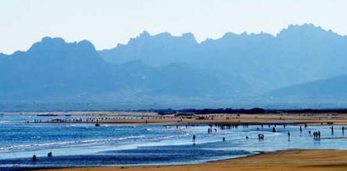 青岛赏花一日游最佳路线,青岛赏花最佳时间地点