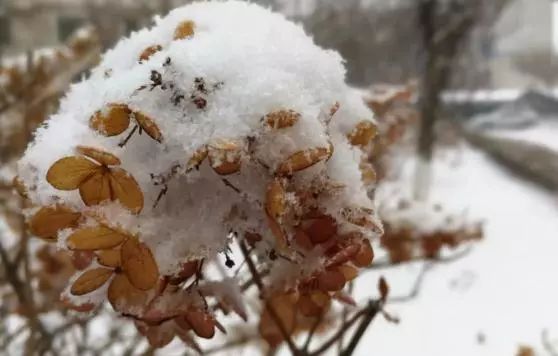 长春出发最便宜的一个机票,7月长春出发特价机票