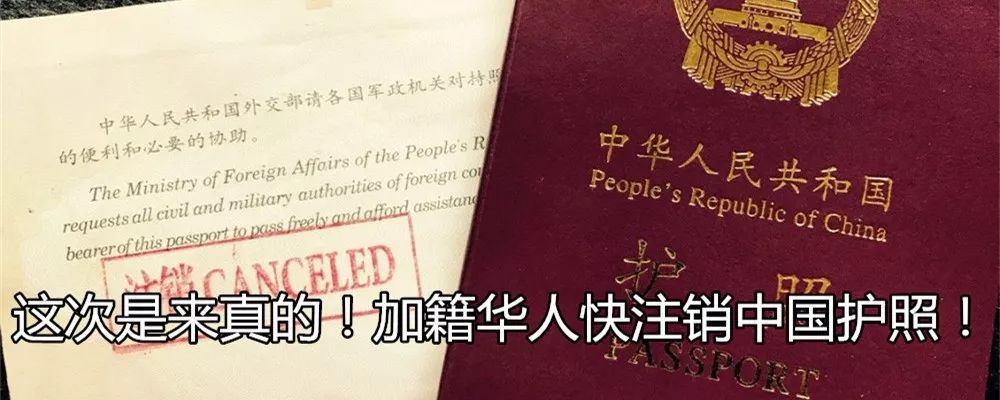 Costco卖的鱼油竟然是假货？！那回国还能带什么当伴手礼啊！