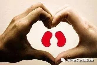 全民关注世界肾脏日,世界肾脏日关注肾脏关爱女性健康