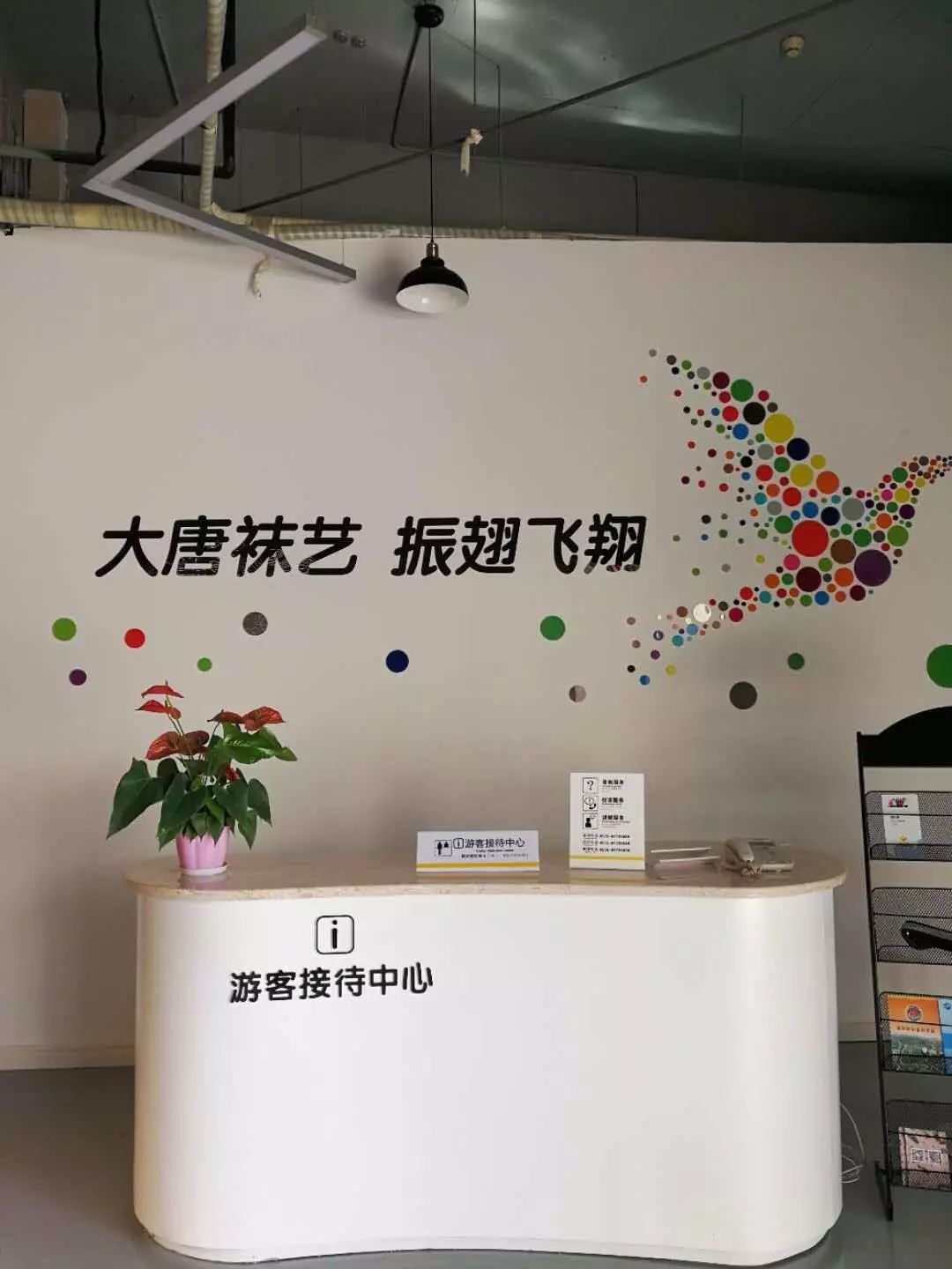 织梦工厂袜子,浙江大唐品牌袜子