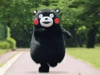 潍坊最受欢迎的饭店,潍坊市最美家庭评选结果