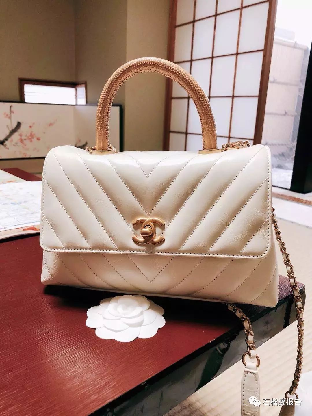 好多新包包,春夏好看的包包推荐