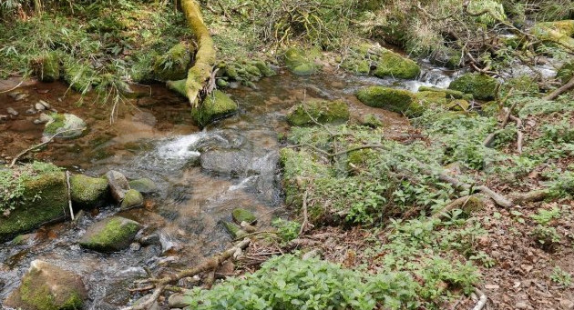 第一高山歌曲,第一高山在哪