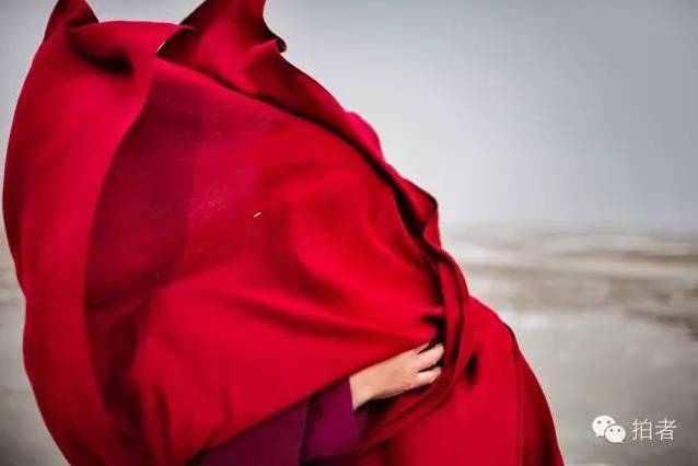 新京报两记者获金镜头奖，2015年他们还拍了哪些精彩图片？