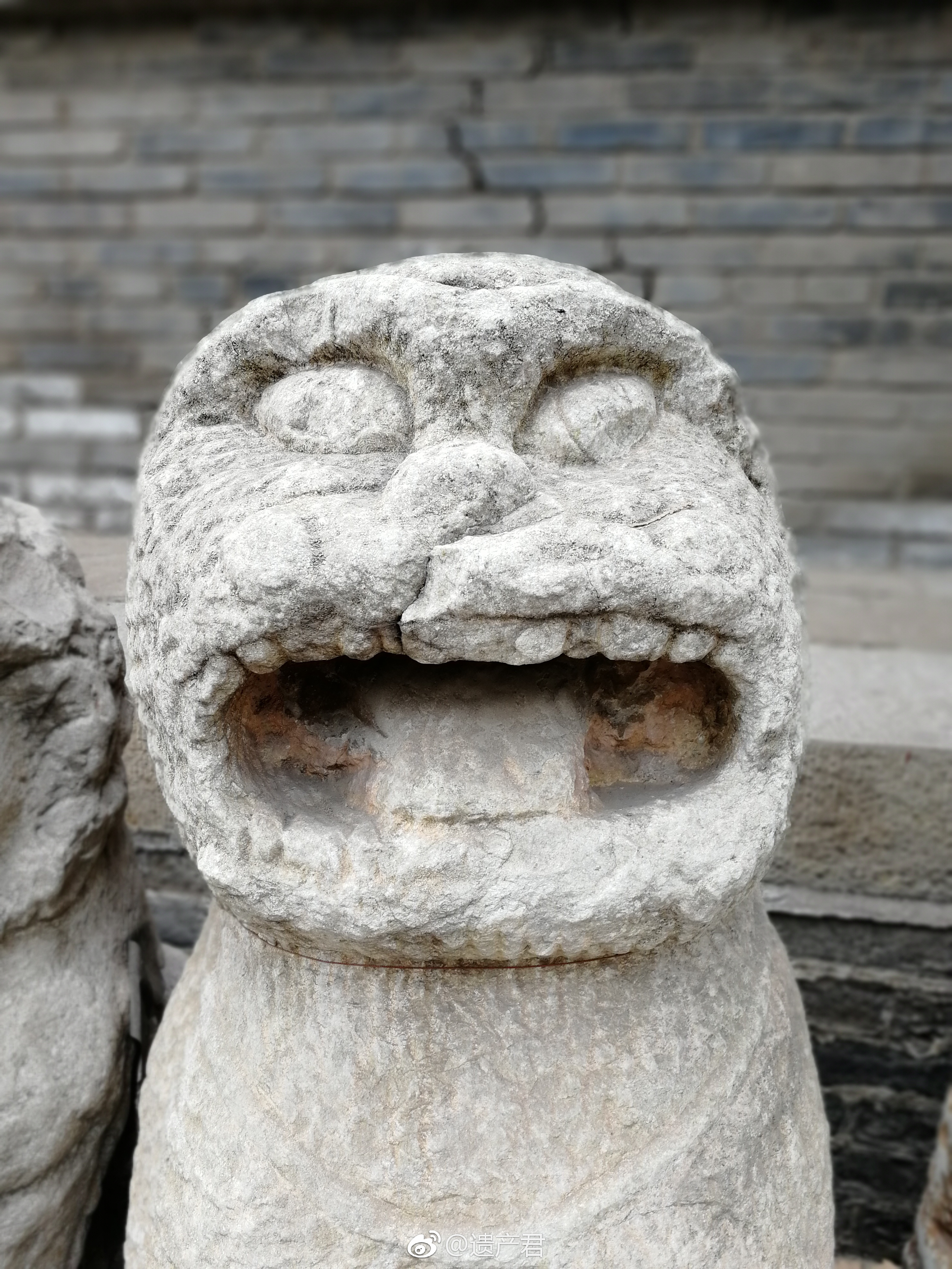 头条号手机摄影:爱拍美图分享第二期，欢迎围观，欢迎来稿！