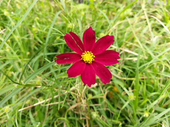 文本直送科技新闻:宏达电旗舰智慧型手机「HTC10」崭新体验,十分完美!