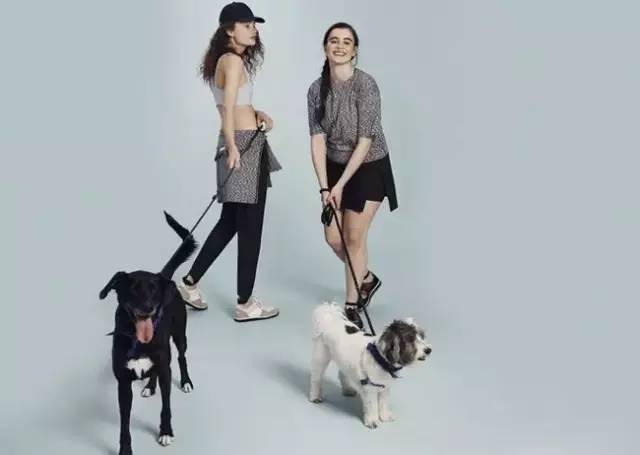 一套高颜值的健身装备,新手哪些健身运动装备值得入手