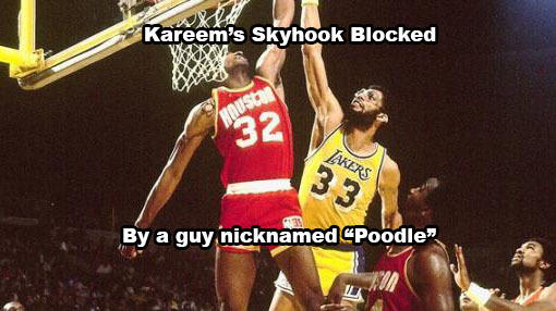 盘点NBA的5只狗大狗小狗垃圾狗贵宾狗真正的懂球帝才能全猜出