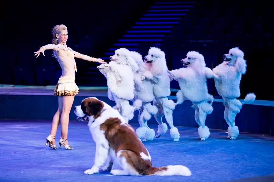 去珠海长隆海洋王国住哪里好,海昌海洋公园和长隆海洋王国