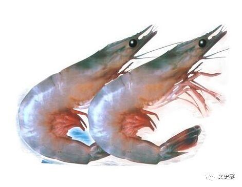 舌尖上的孔子——宋以后中华饮食的巨变｜文史宴