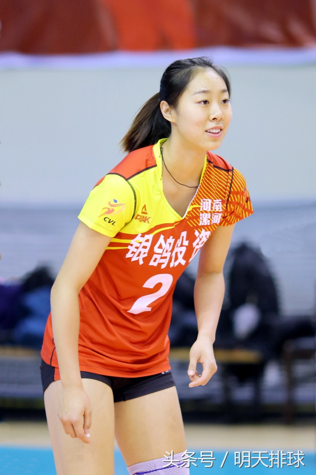 我们对中国有什么期望,最新关于中国女排的消息