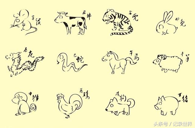 十二生肖今年是虎年明年是什么年,讲讲十二生肖的鼠为什么排在第一