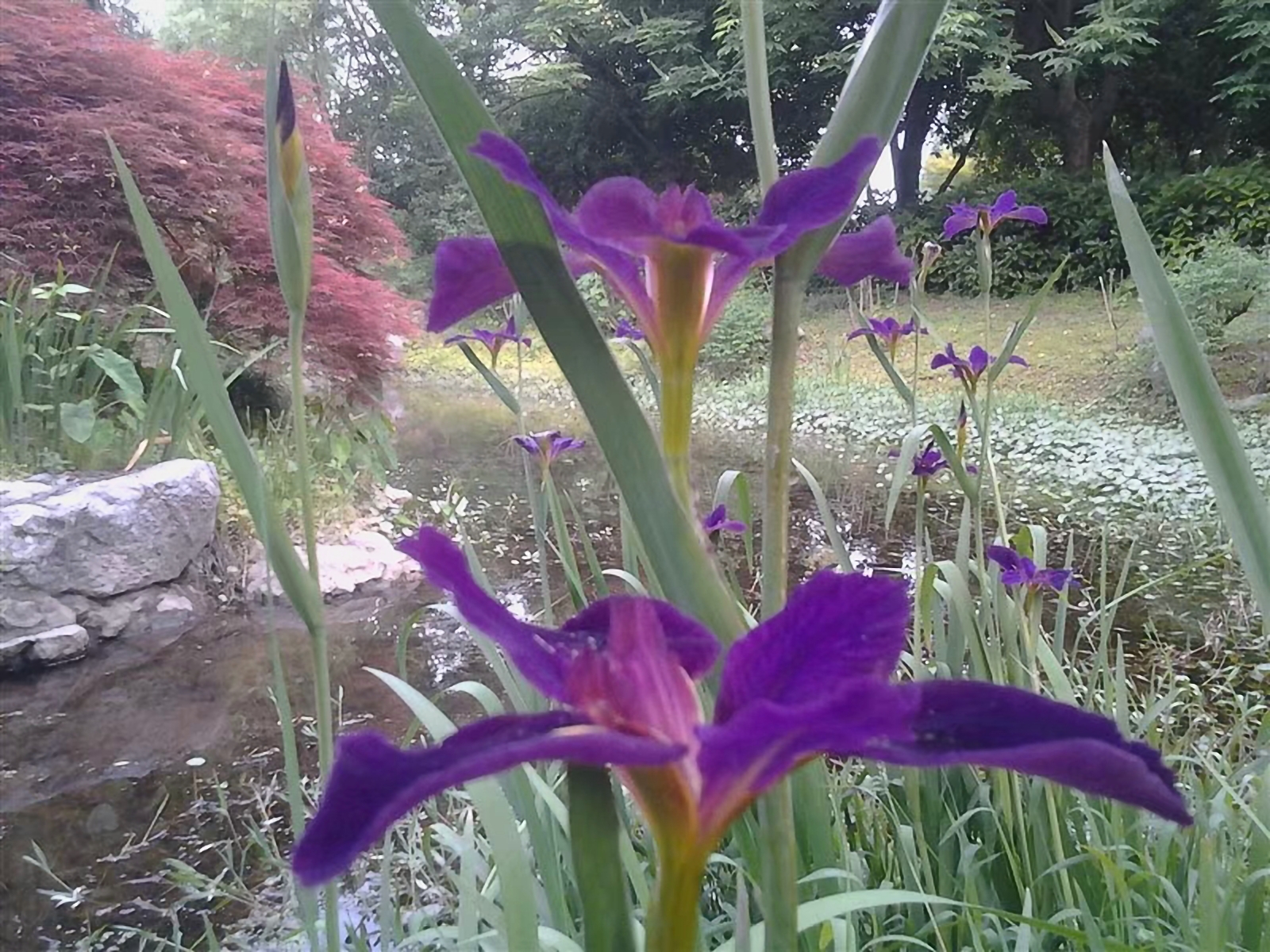 骑自行车环华旅行,骑单车长途旅行环中国一圈