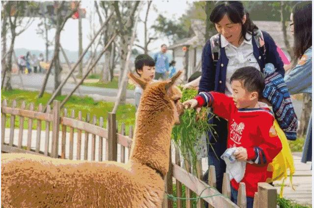 亲子游好去处!番禺周边的农家乐、游乐场、文化园…充实又好玩!
