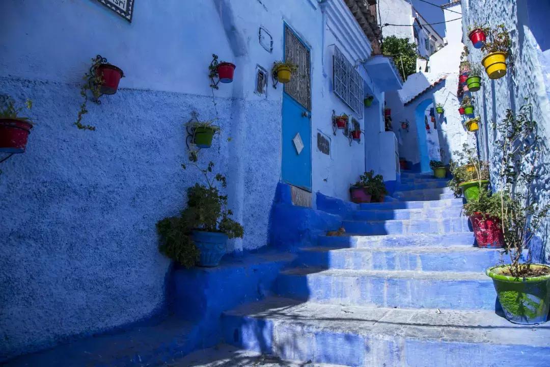 对中国免签的国家实时更新,近期哪几个国家免签