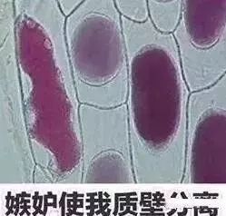 gucci包7500元,7500元gucci包