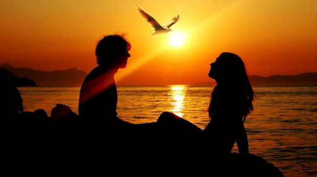 2024年生肖金龙运势,2019十二生肖运势龙的运势