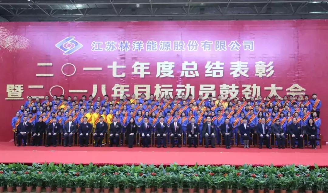 林洋能源战略规划,林洋能源领导考察
