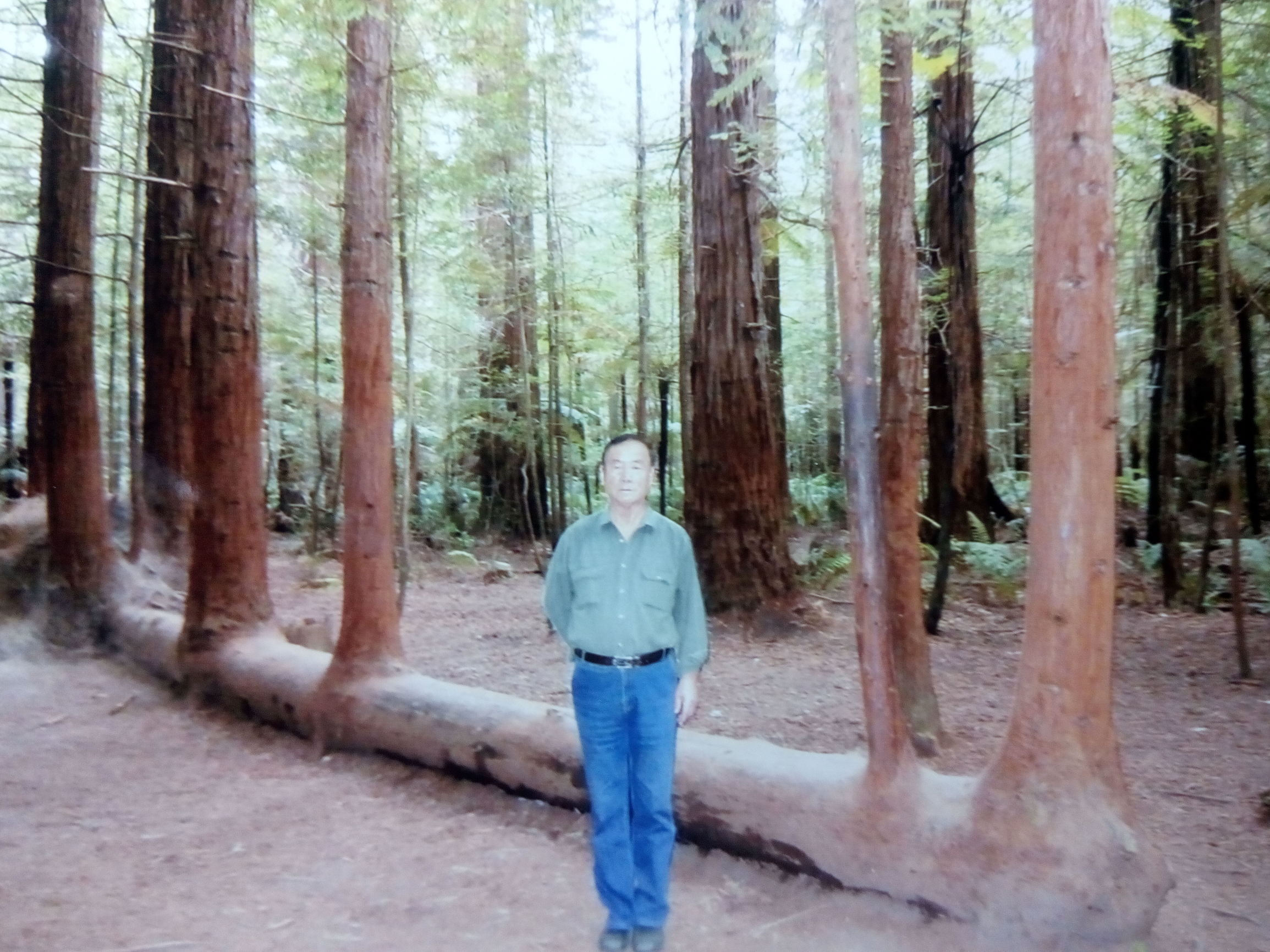 婢虫柊浜屾湡,婢虫柊鍗楀寳宀涙槸鍝袱涓矝