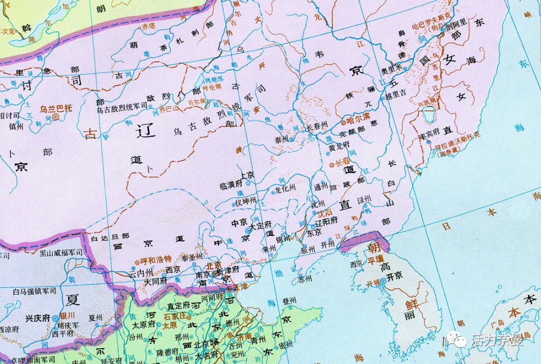 奈曼从哪儿来的,奈曼人真实身份