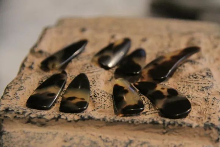 古筝玳瑁甲上的胶怎么除去,古筝玳瑁义甲是真的玳瑁么