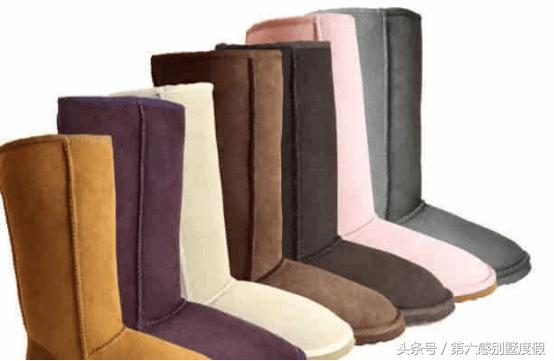 新西兰特产必买的东西有哪些,新西兰十大必买特产美食