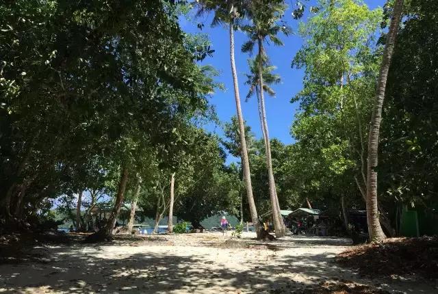 帕劳群岛隐藏攻略,帕劳旅游的优点和缺点