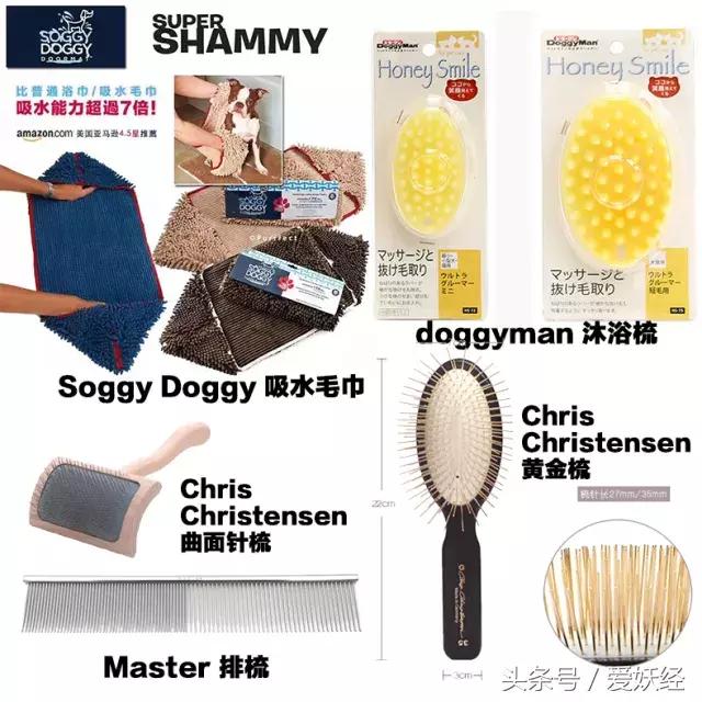 宠物洗护攻略,爱妖经养宠怎么玩