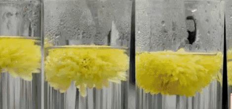 丽江舌尖上的中国纪录片,丽江舌尖上的中国视频