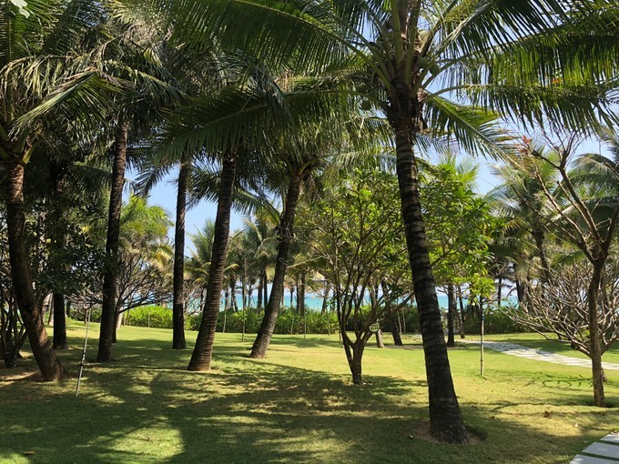 广州三亚三日游,三亚广州6日游