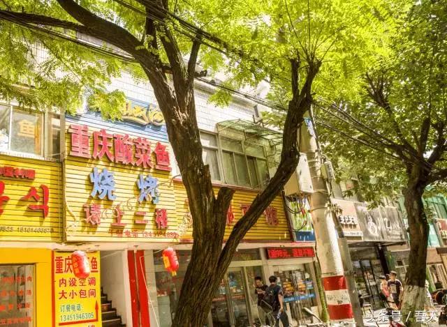 淮阴区卫岗,亳州卫岗镇