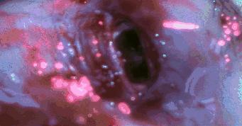 刘昊然双生姐妹,刘昊然和妹妹