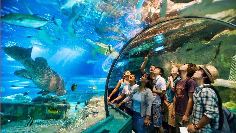 上海新年值得去的地方,春节被挤爆了的九个景点