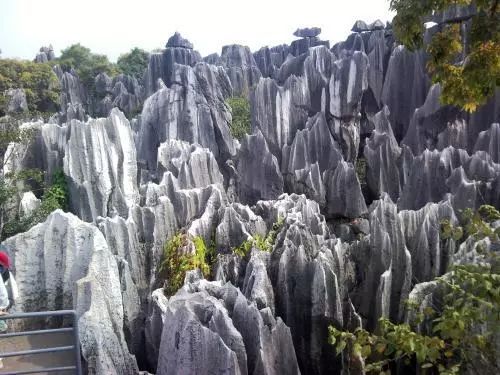 捉妖记里的胡巴拍摄地方,捉妖记胡巴回家视频