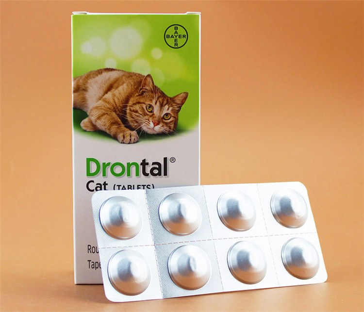 萌宠指南新手养猫,大宠爱铲屎官启蒙之新手养猫指南