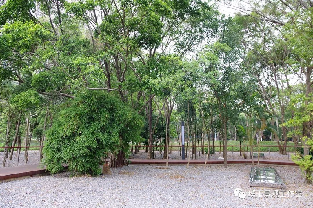 2019年香蜜湖公园,最新香蜜公园视频