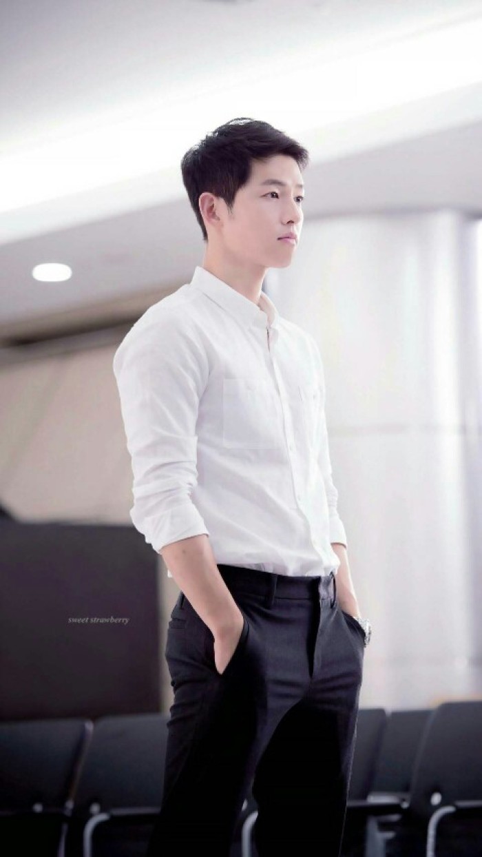 宋仲基王嘉尔,宋仲基演艺经历