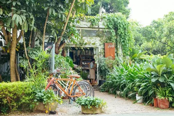 深圳春游十大好去处要门票,深圳春游亲子最佳去处