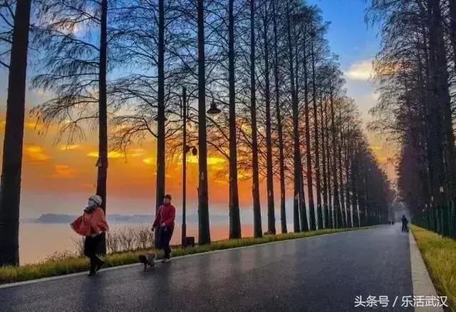 在武汉收入多少可以过上体面生活 (在武汉月薪多少才能养活)