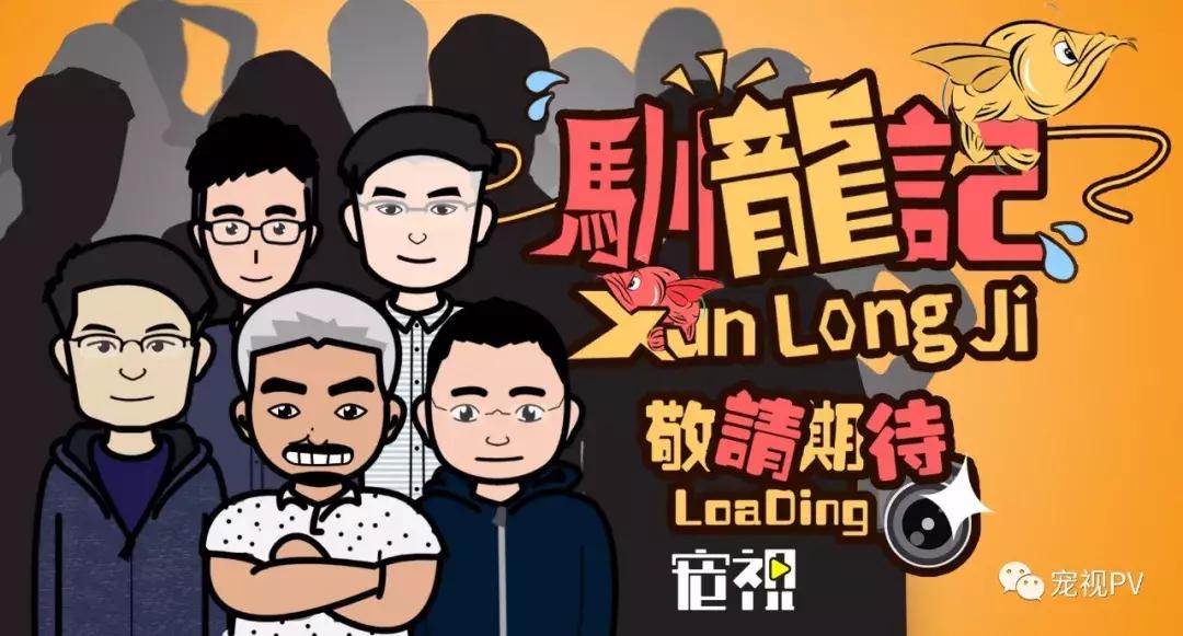 驯龙怎么让龙饿得快,如何让龙鱼改口吃饲料