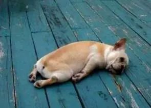 广东人都不会写的粤语字,粤语会说不会写的315个字