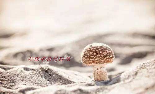 心理学社交恐惧症,恐惧症的心理分析