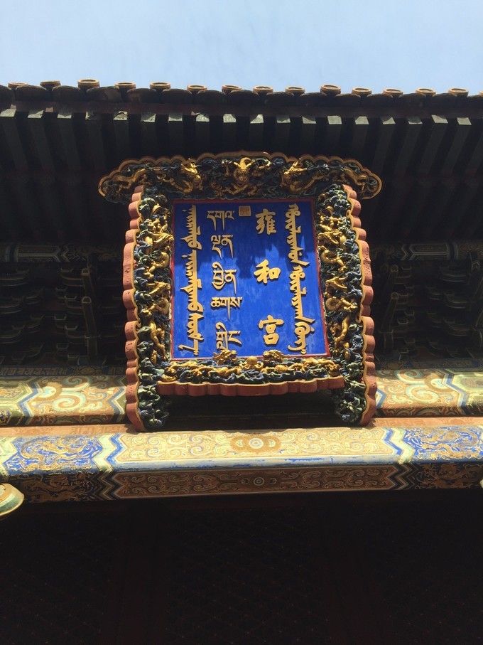 冬天去哪里旅游暖和特色美食,冬季游玩攻略美食推荐