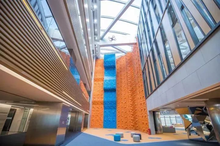 深圳最牛逼企业排名,深圳最赚钱的四家公司