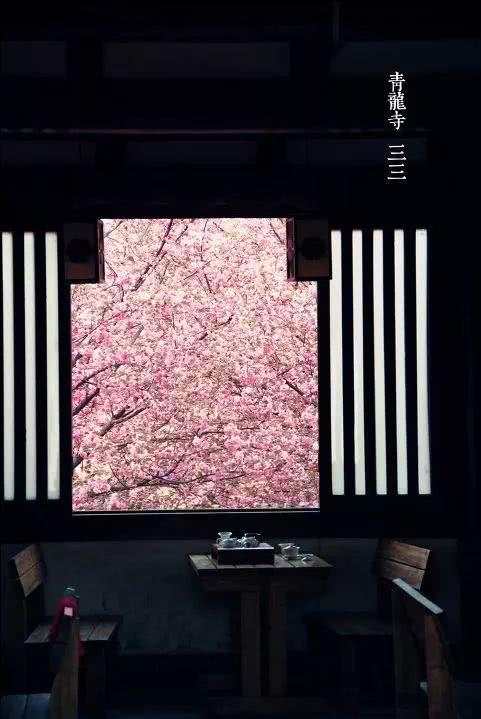 赏花小众景点,发现一处绝美赏花打卡地